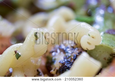 Extreme Closeup Macro Of Strozzapreti