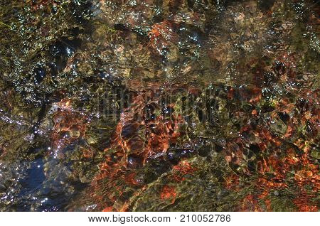 River Water Bottom