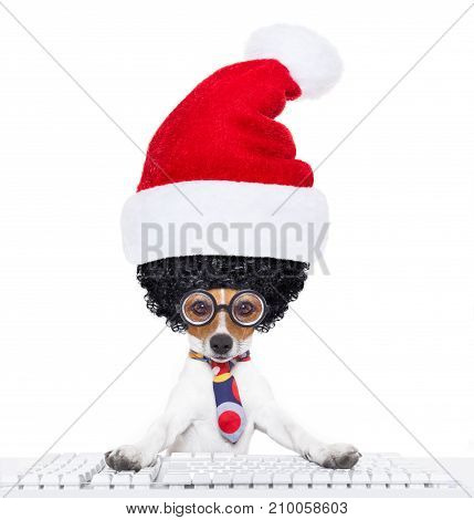 Dog Office Worker On Christmas Holidays