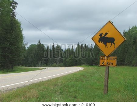 Alce Traffic Sign