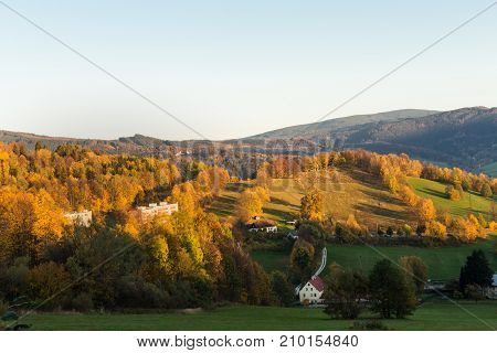 Summer landscape of young green forest in lamdscape