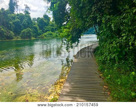 Hiking trail around Macritchie reservoir park with beautiful green water in Singapore