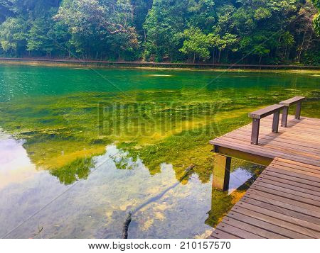 Hiking trail around Macritchie reservoir park with beautiful green water in Singapore