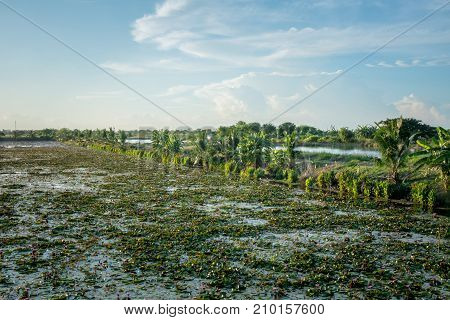 Lotus marsh and wood boat with sky background at Banglane Nakorn pathum Thailand.