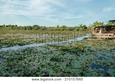 Lotus marsh and wood boat with sky background at Banglane Nakorn pathum Thailand.