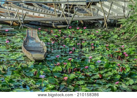 Lotus marsh and wood boat with sky background at Banglane Nakorn pathum Thailand.