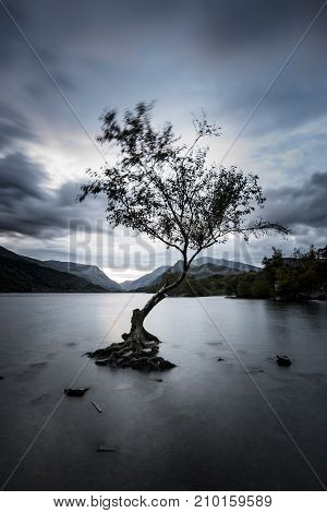 Beautiful Landscape Image Of Llyn Padarn At Sunrise In Autumn In Snowfonia National Park