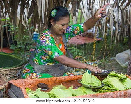 SHAN STATE MYANMAR - SEP 06 : Burmese woman selling betel leaf in a market in Shan state Myanmar on September 06 2017 in Myanmar people chewing the leaf with areca nut.