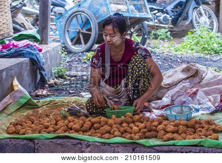 SHAN STATE MYANMAR - SEP 06 : Burmese woman selling vegetables in a market in Shan state Myanmar on September 06 2017. Agriculture is the main industry in Myanmar