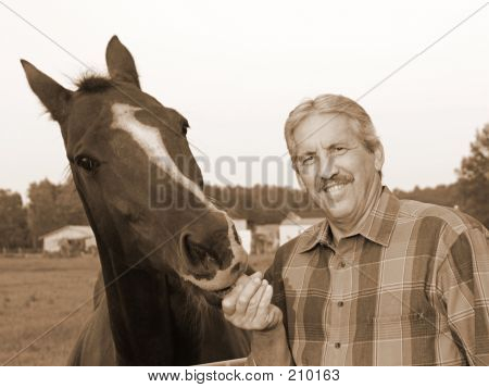 Farmer Feeds Horse
