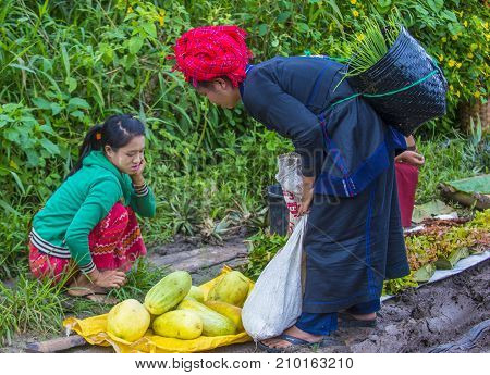 SHAN STATE MYANMAR - SEP 06 : Burmese woman selling vegetables in a market in Shan state Myanmar on September 06 2017. Agriculture is the main industry in Myanmar