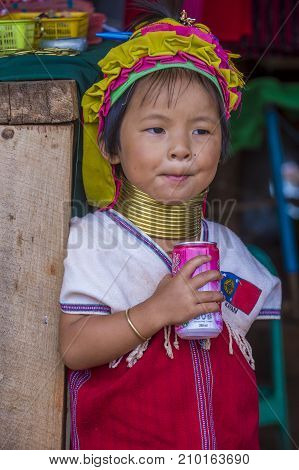 KAYAN STATE MYANMAR - SEP 09 : Portrait of Kayan tribe girl in Kayan state Myanmar on September 09 2017 Kayan tribe woman are well known for wearing neck rings.