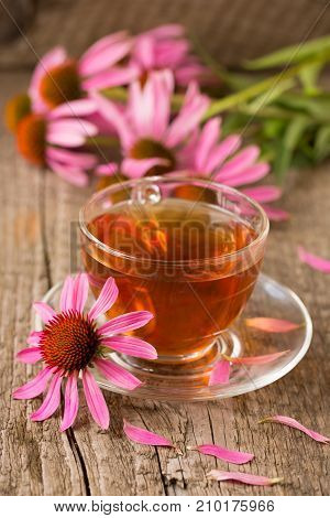 Cup of echinacea tea on old wooden table.
