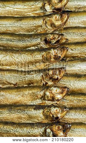 detail shot showing lots of fresh smoked sprats