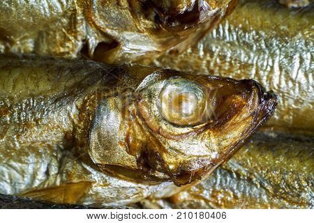 detail shot showing some fresh smoked sprats