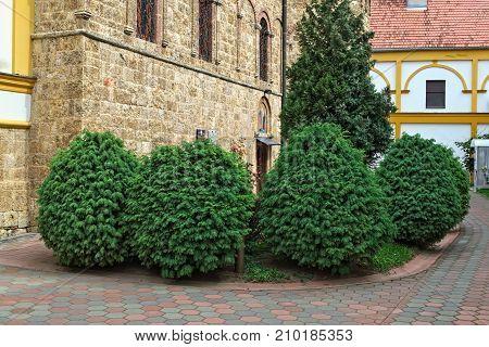 Small garden around monastery Privina Glava, Serbia