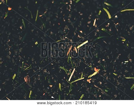 Raw Rubber Of  Plastic Grass On Artificial Football Turf. Close Up Of Checking The Rubber Pieces For