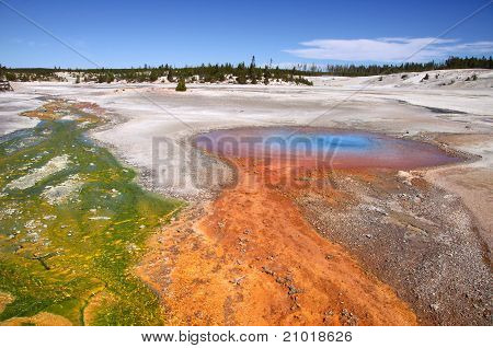 Parco nazionale di Yellowstone