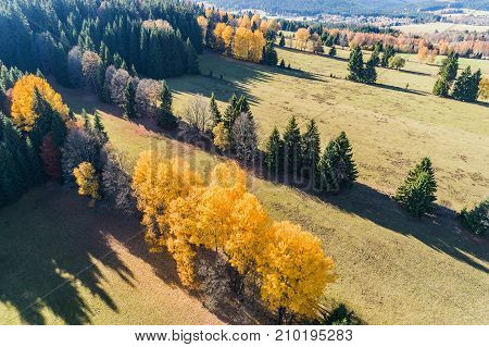 Aerial view on forest. Autumn in Sumava Beautifully colored trees and meadows in autumn aerial view of forest on southern Sumava near Chalupska moor.. National Park Czech Republic