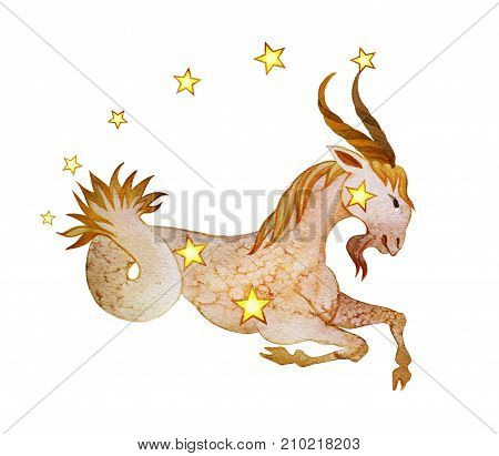 Astrological sign of the zodiac Capricorn isolated on a white background