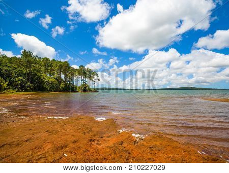 Mare aux Vacoas - is the largest water reservoir in Mauritius island. Landscape view from the west shore.