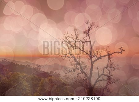 Chiang Mai Thailand Viewpoints National Parks Mountainous terrain