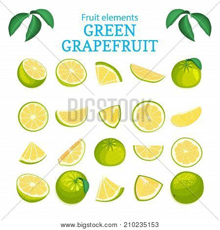 Vector large set of ripe tropical grapefruit fruits. Green oranges peeled piece of half slice leaf. Collection of delicious citrus  designer elements for packaging of juice breakfast health food.