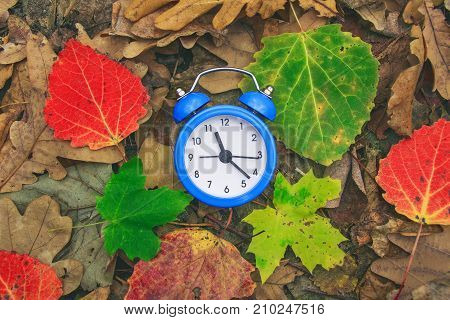 Autumn time. Fallen dry leaves on the ground. Colorful foliage and an alarm clock. Back to school. Green red and yellow leafs. Beautiful nature background. Goodbye autumn. Discounts and sale.