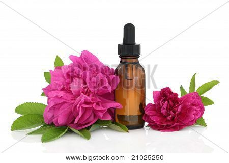 Rose blomst essensen