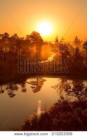 amber misty mystical sunrise over the swamps