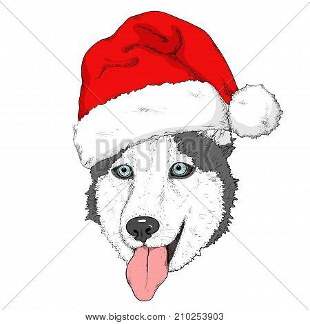 Sketch of husky dog in red Santa's hat. Hand drawing muzzle. Domestic animal. Cute dog with blue eyes and tongue out for Christmas and New Year design