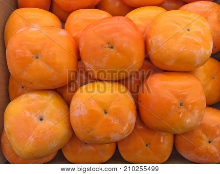 close up on fresh ripe persimmon group background