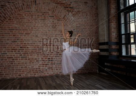 Picture of beautiful elegant young Caucasian female ballet dancer wearing tutu and pointes dancing in the middle of large studio standing on one leg keeping second leg and arms outstretched