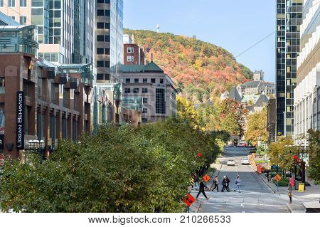 Montreal, Canada - 22 October 2017: Mcgill College Avenue From Place Ville Marie, In Fall, With Mont