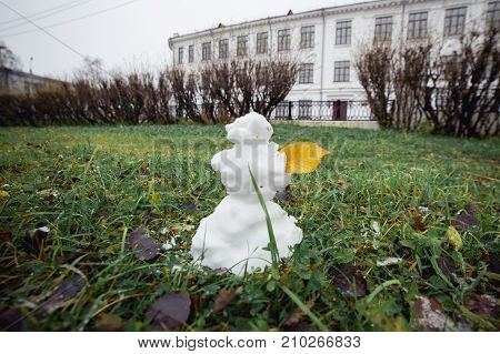 Snowman grass with yellow leaf. Funny wide angle picture. Winter is coming concept.