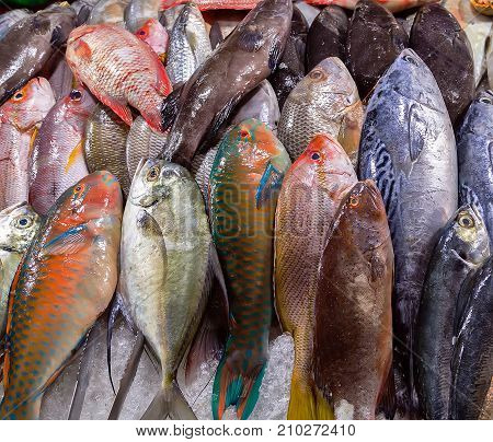 Seafood Fish Displayed At A Fish Market