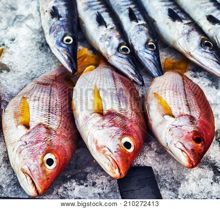 Seafood On Ice At The Fish Market