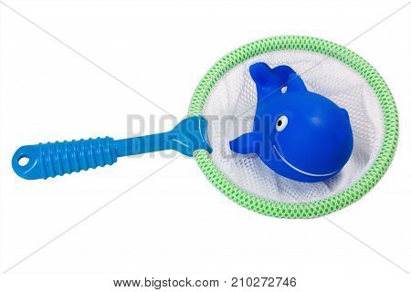 Fish In Fishing Net