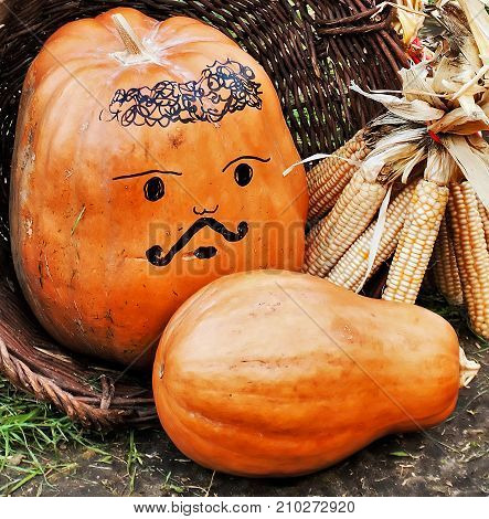 Autumn pumpkin vegetables in basket background royalty free photostock photos