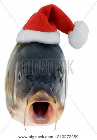 Christmas Fish In Santa Red Hat