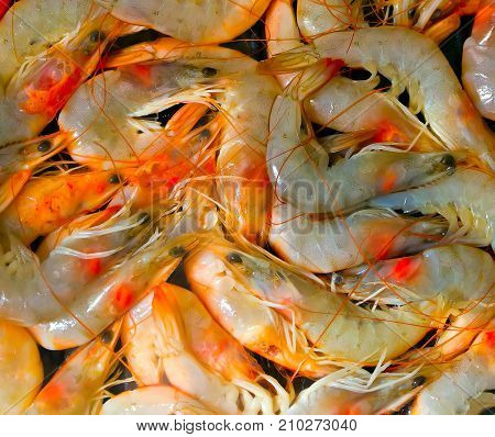 seafood cooked unshelled tiger shrimps background royalty free photostock photos