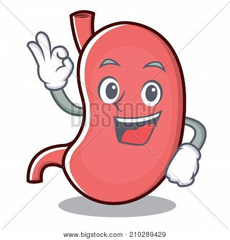 Okay stomach character cartoon mascot vector illustration
