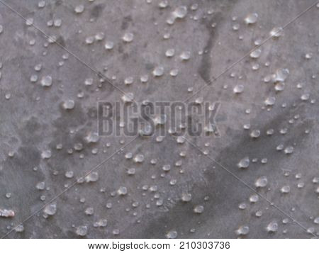 The wall is polished and beautiful in front of the wall in the background.