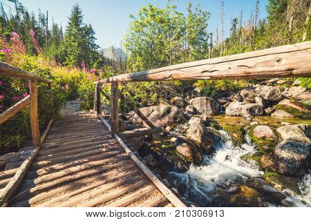 Old Wooden Bridge in Forest in Velicka Valley Leading to Gerlachovsky Peak High Tatras Slovakia