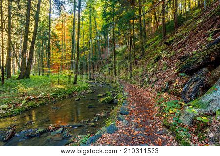 Autumn, Fall Wild River Doubrava, Picturesque Landscape.