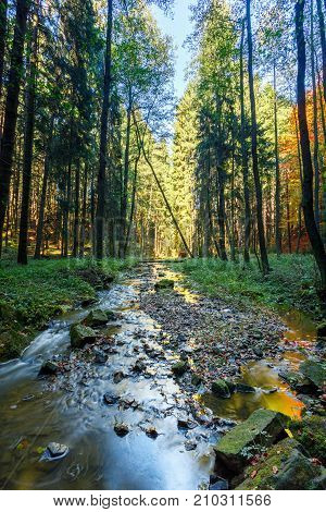 Autumn, Fall Wild River Doubrava, Picturesque Landscape.