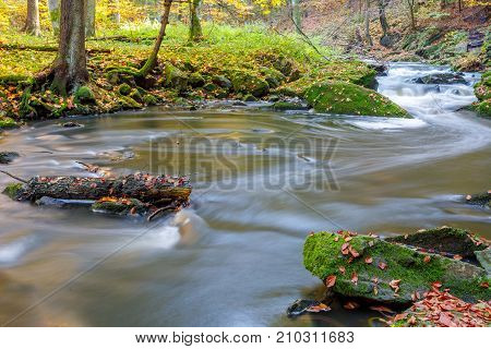 Autumn, Fall Wild River Doubrava, Picturesque Landscape.