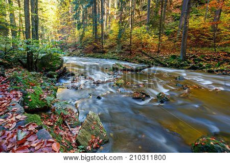 Autumn, Fall Wild River Doubrava, Picturesque Landscape.