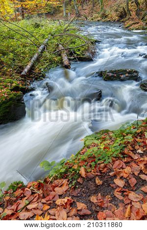 Autumn, Fall Wild River Doubrava, Picturesque Landscape.