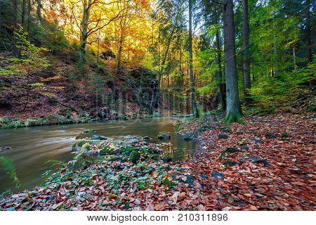 Autumn, Fall Wild River Doubrava, Picturesque Landscape.